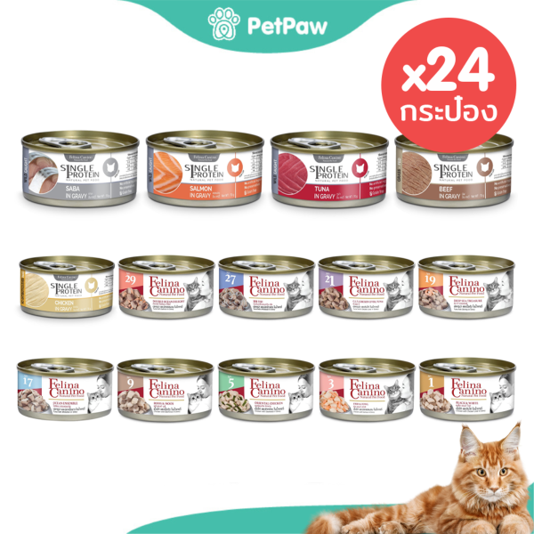 [24 กระป๋อง] Felina Canino Cat อาหารเปียก สำหรับแมว รวมทุกรสชาติ ขนาด 85 g.